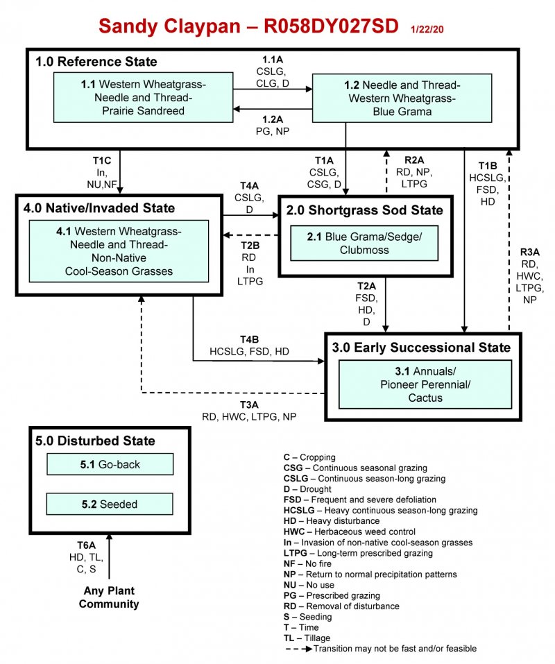 Model diagram