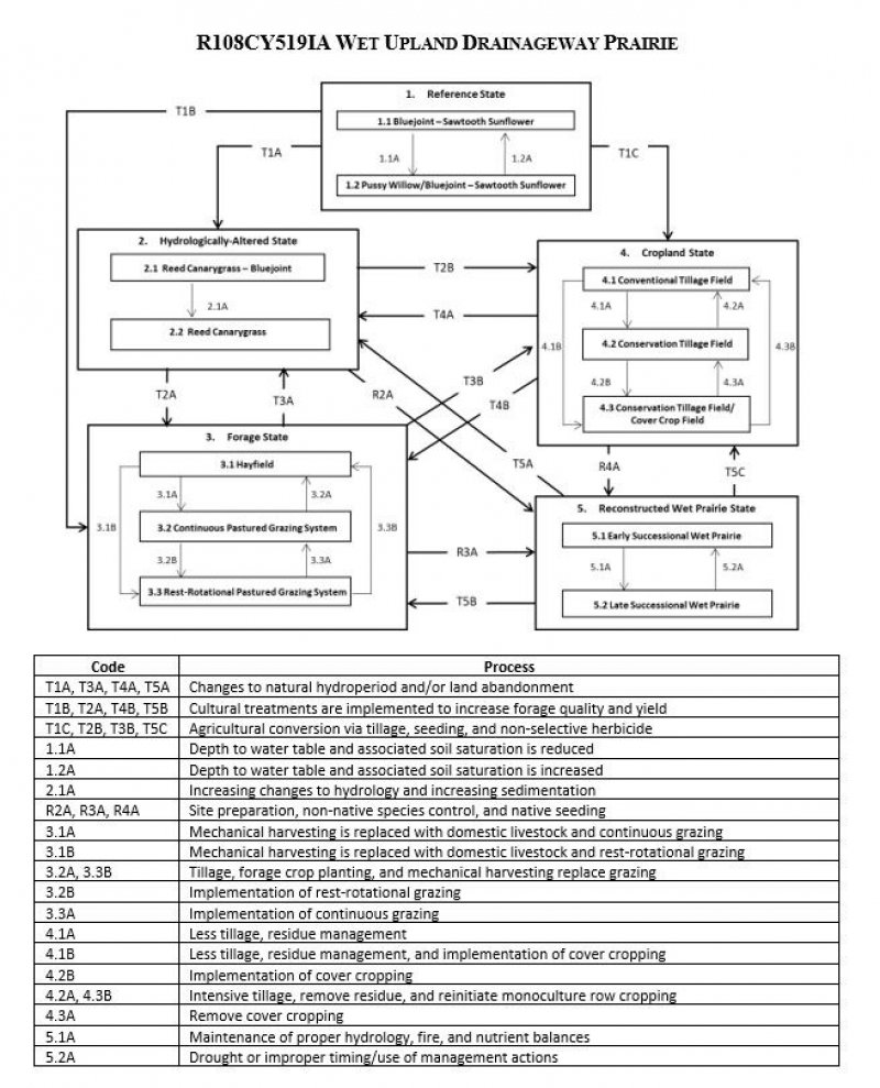 Model diagram