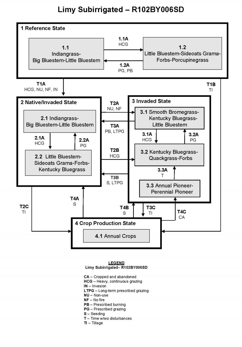Model diagram