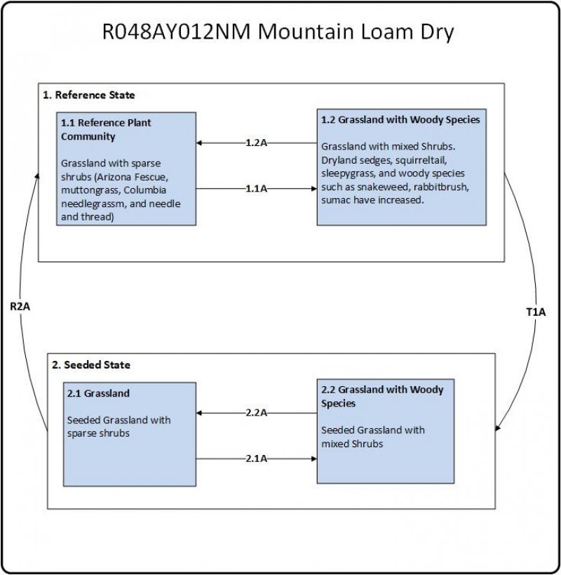 Model diagram