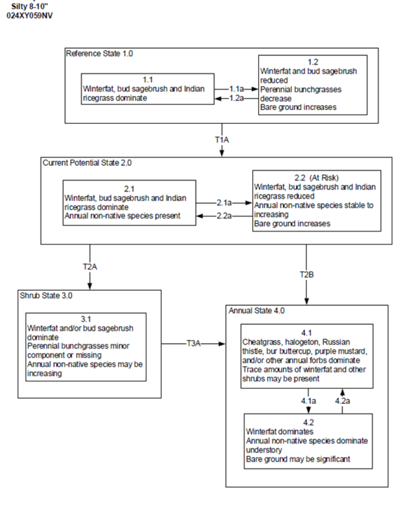Model diagram