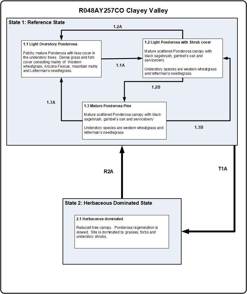 Model diagram