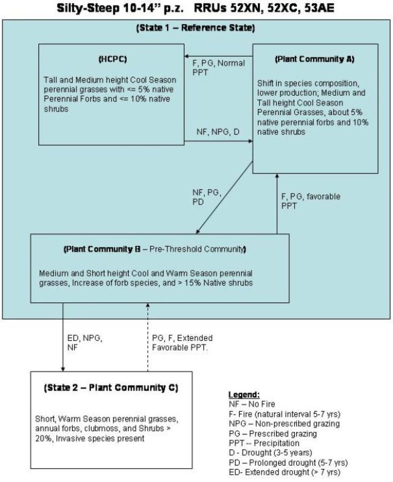 Model diagram