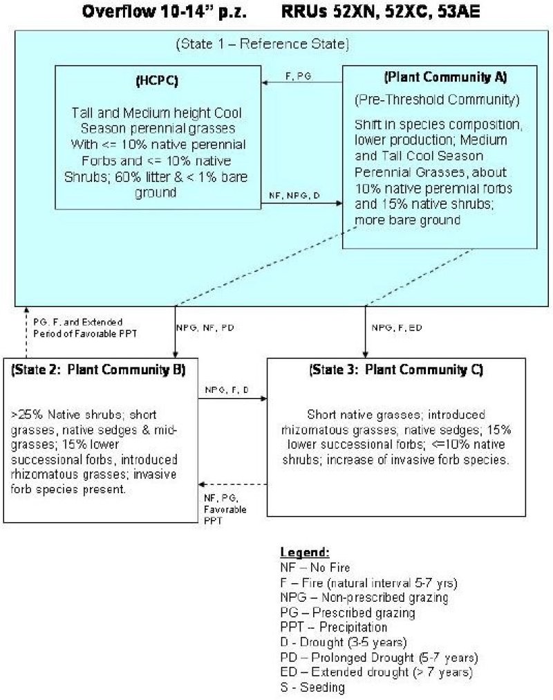 Model diagram