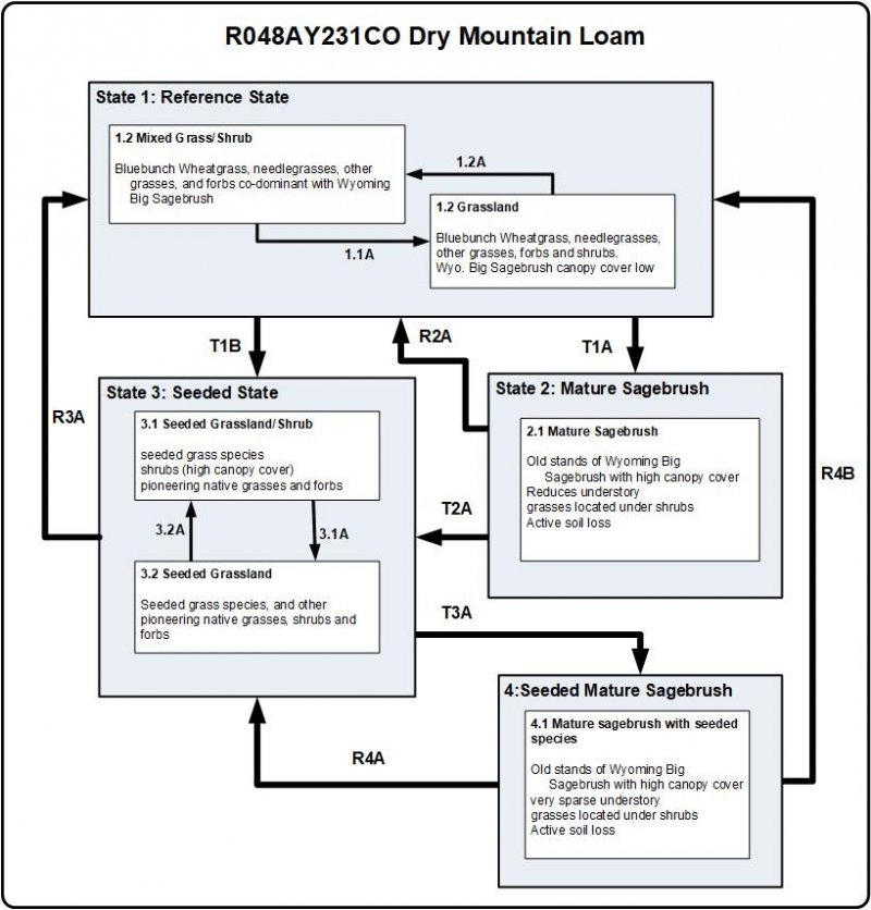 Model diagram