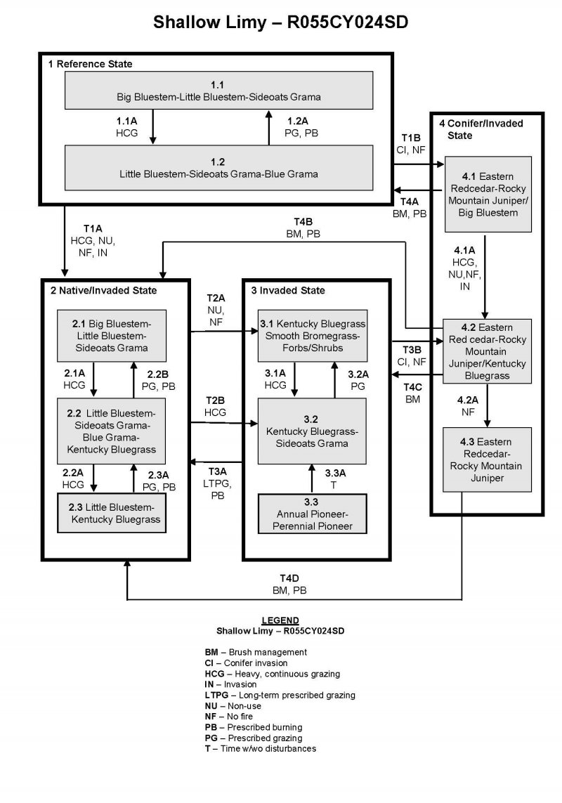 Model diagram