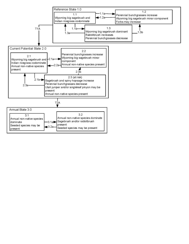 Model diagram