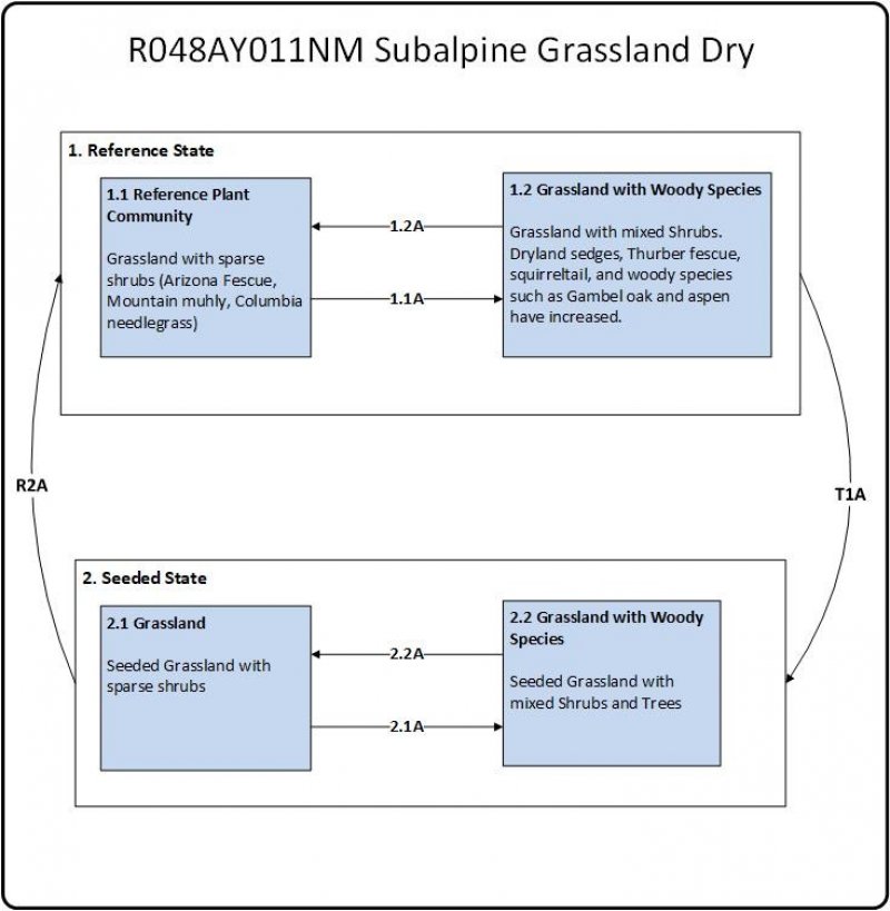 Model diagram