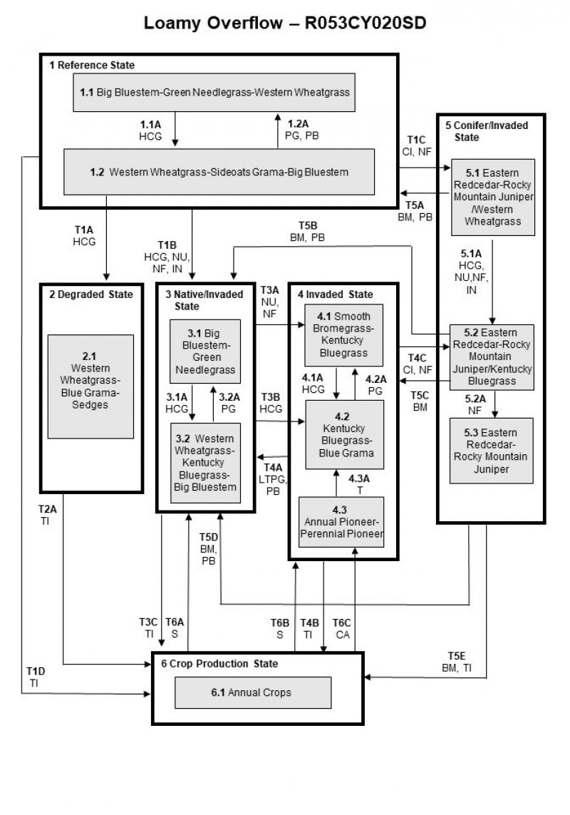 Model diagram