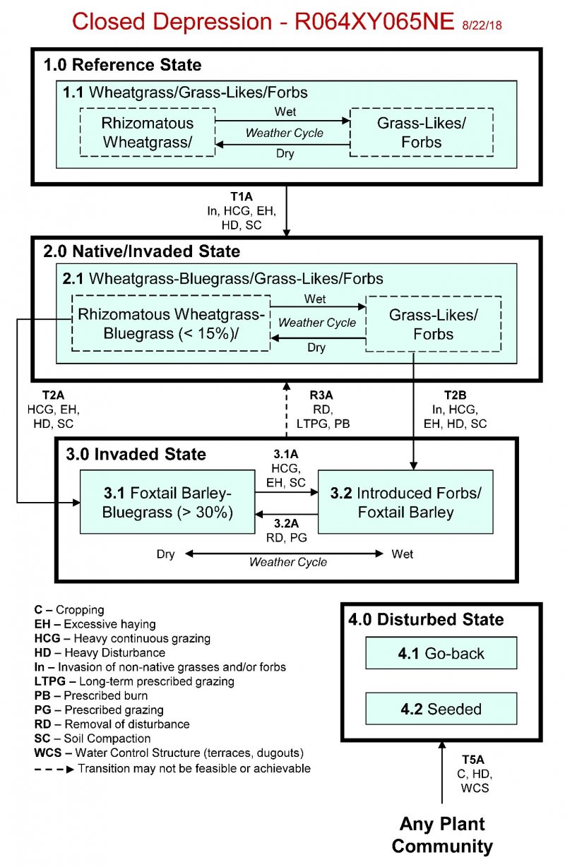 Model diagram