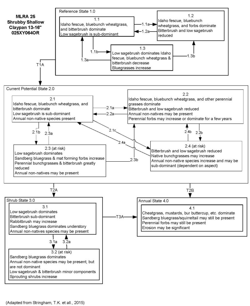Model diagram