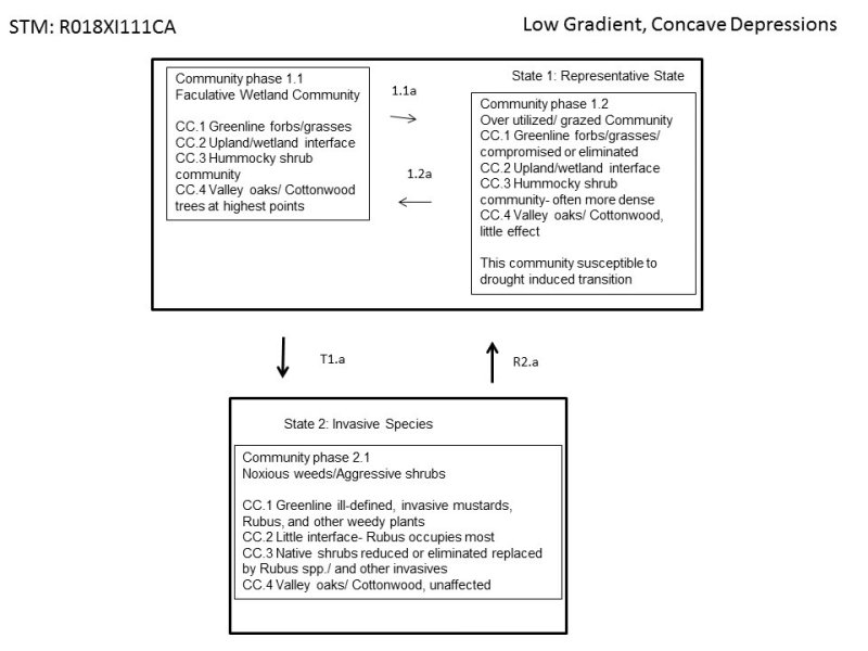 Model diagram
