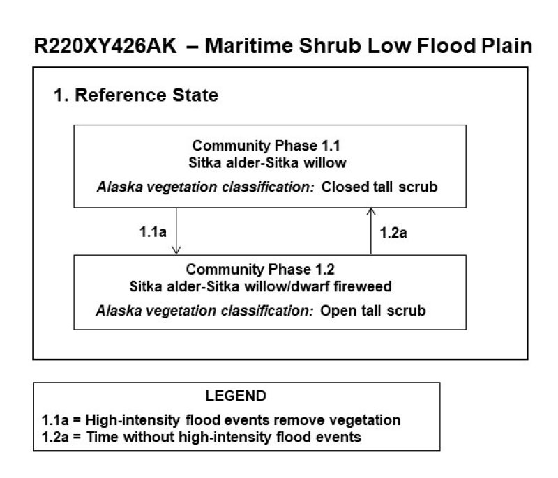Model diagram