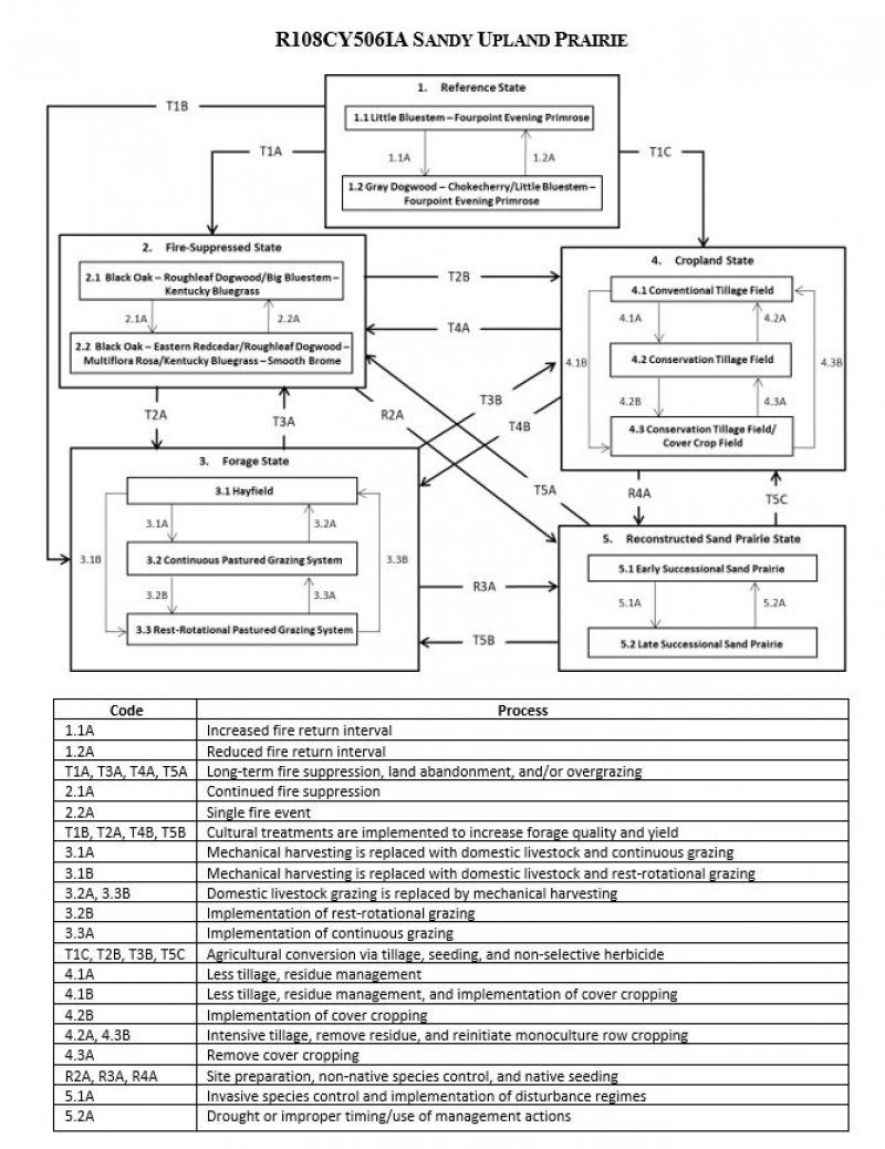 Model diagram