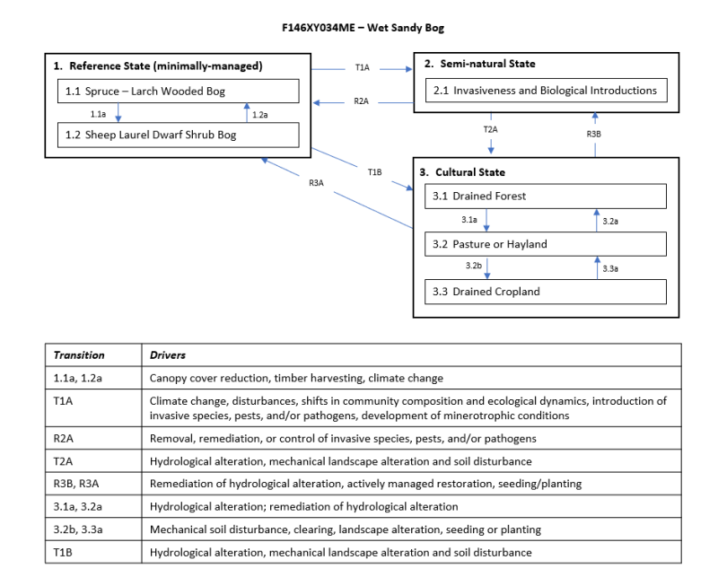 Model diagram