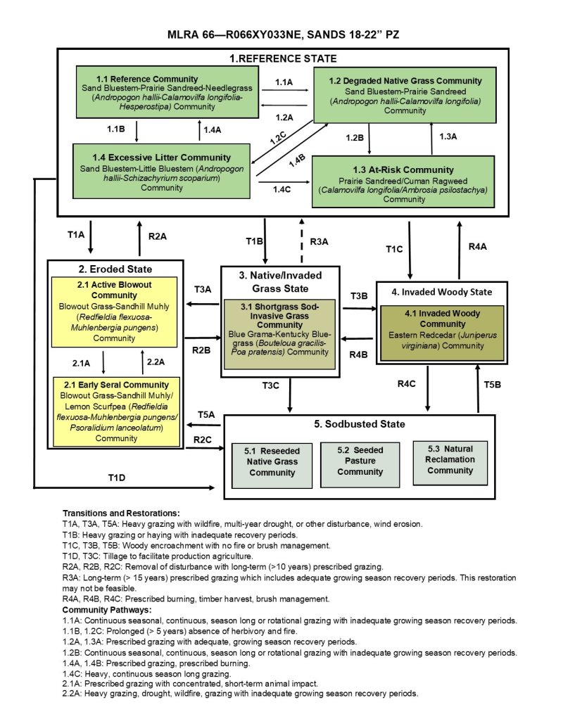 Model diagram