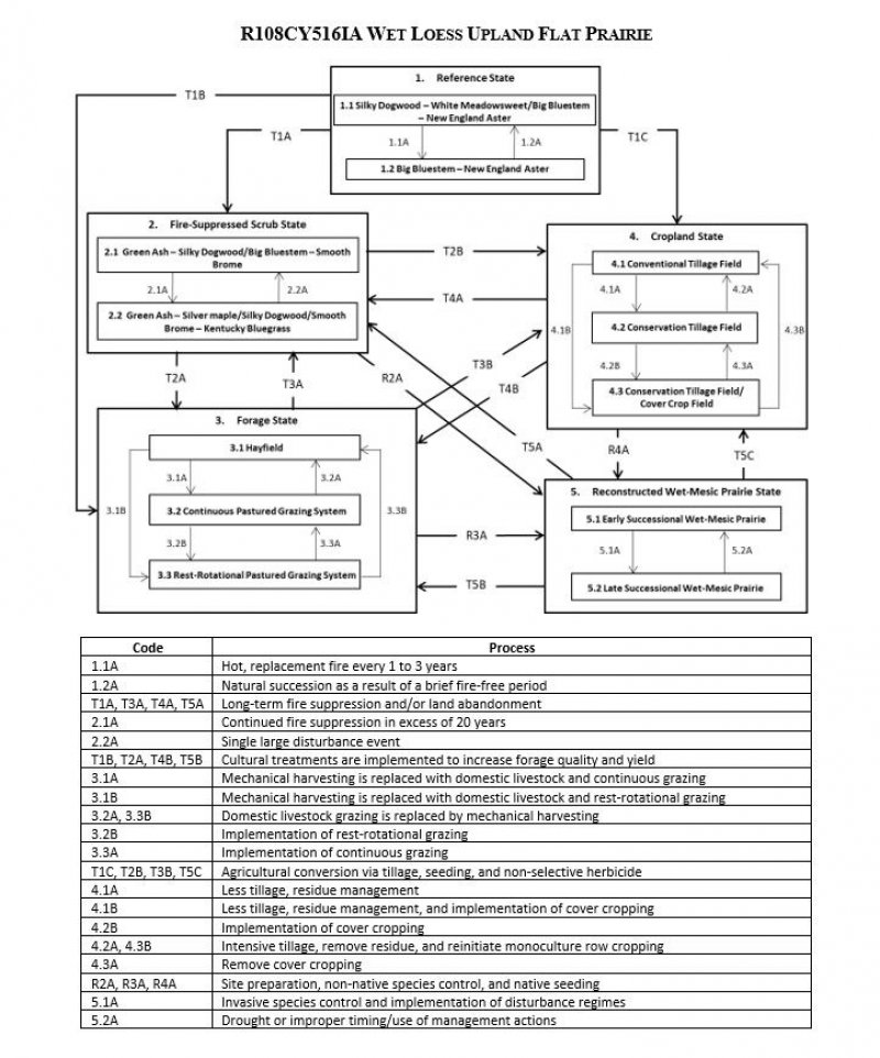 Model diagram