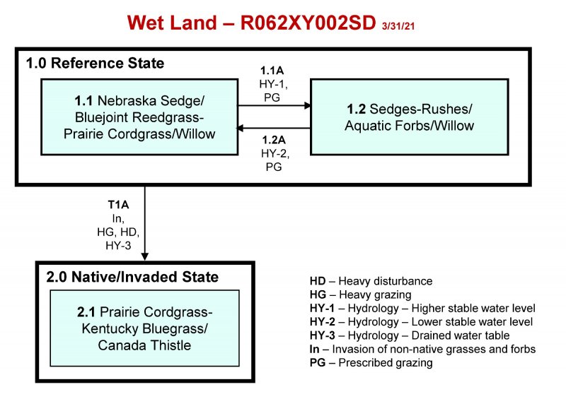 Model diagram