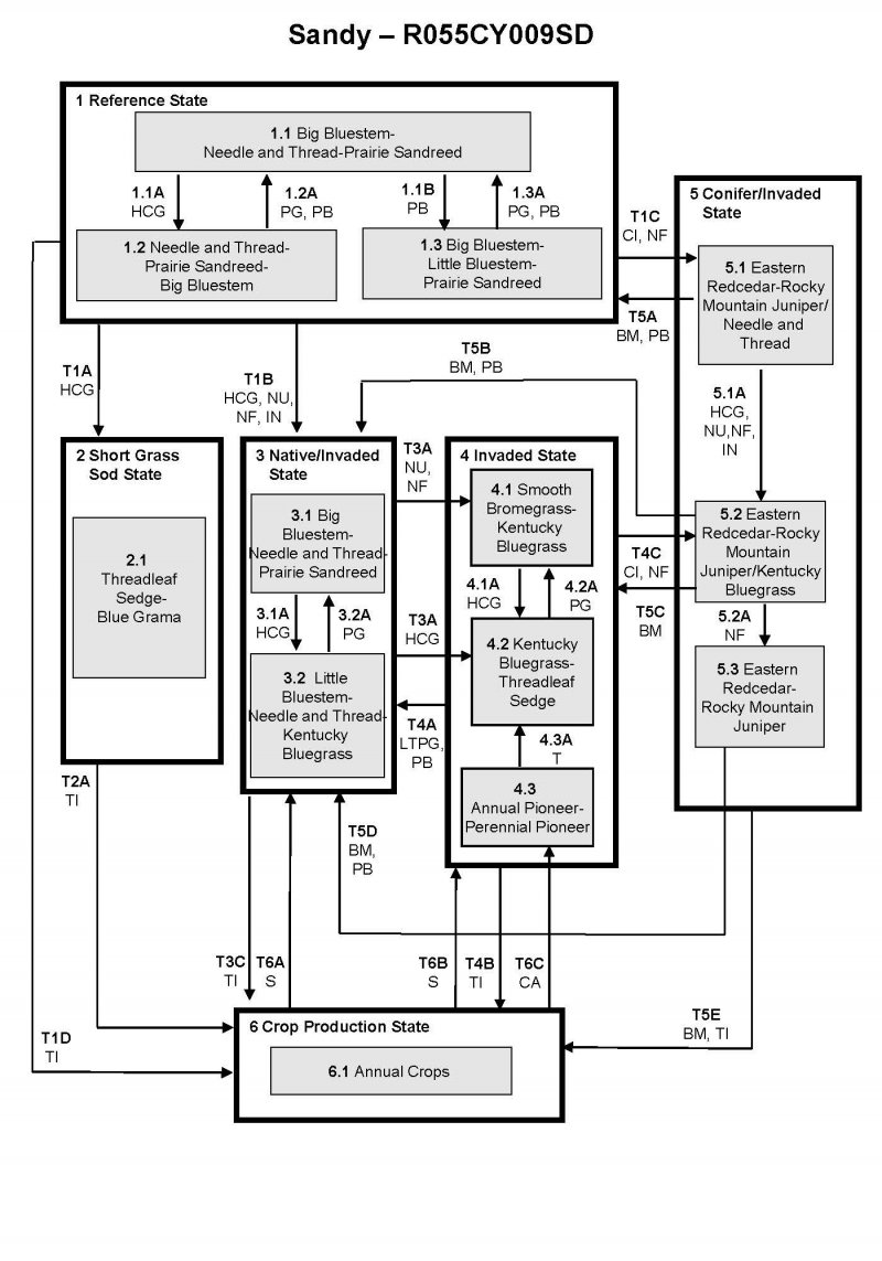 Model diagram