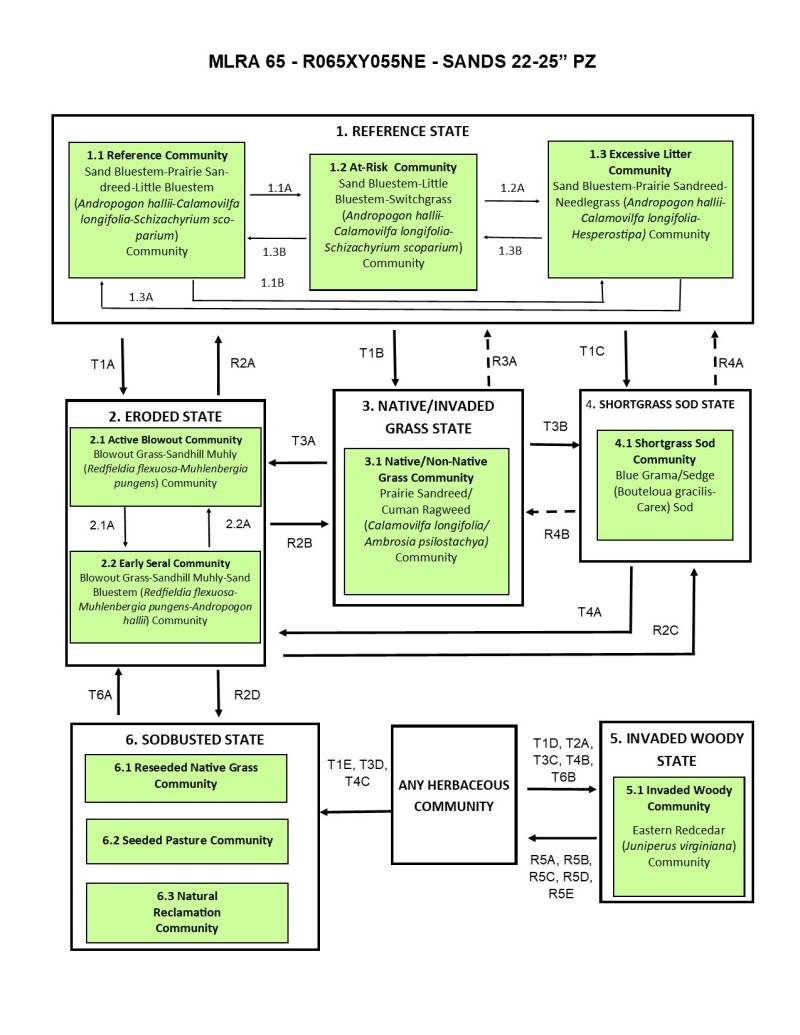 Model diagram