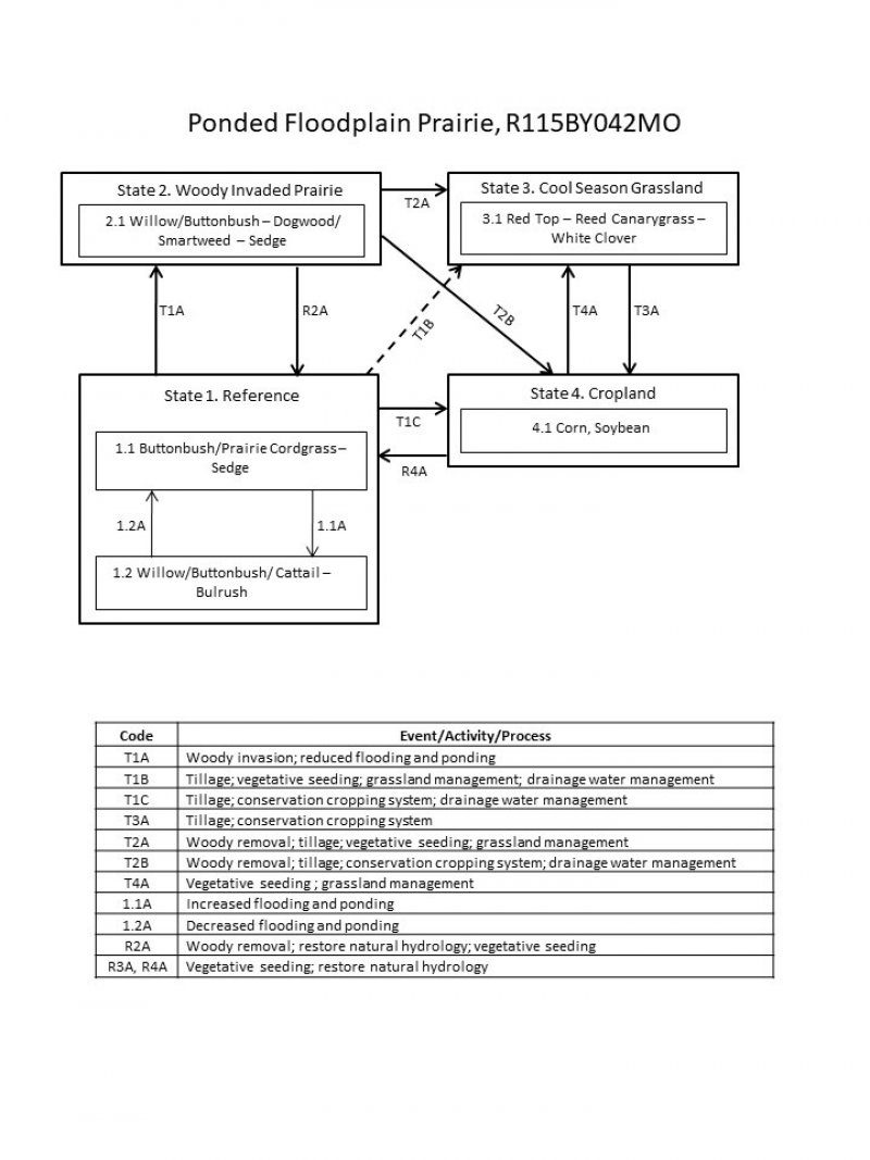 Model diagram