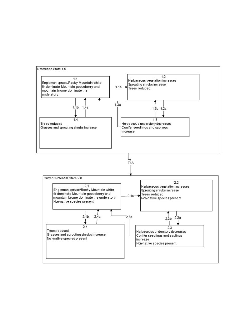 Model diagram