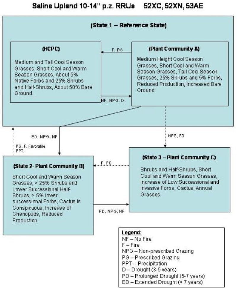 Model diagram