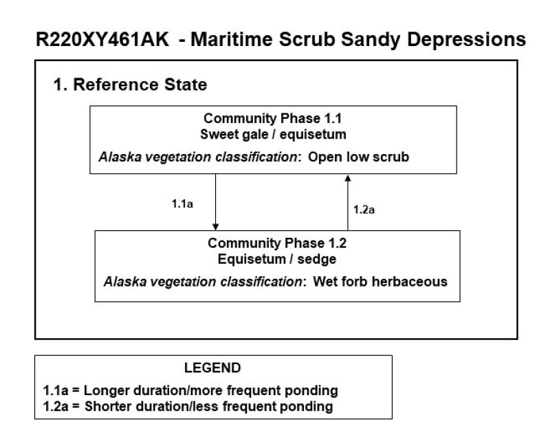 Model diagram