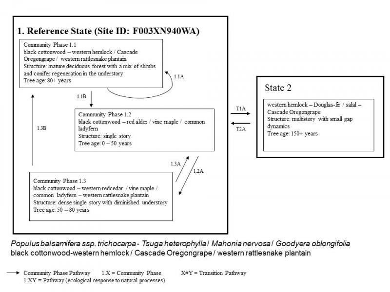 Model diagram