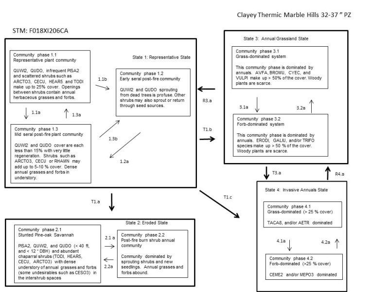 Model diagram