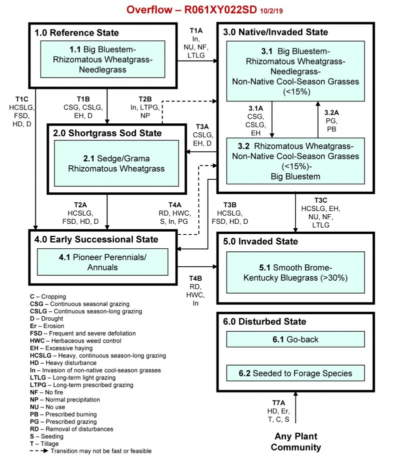 Model diagram