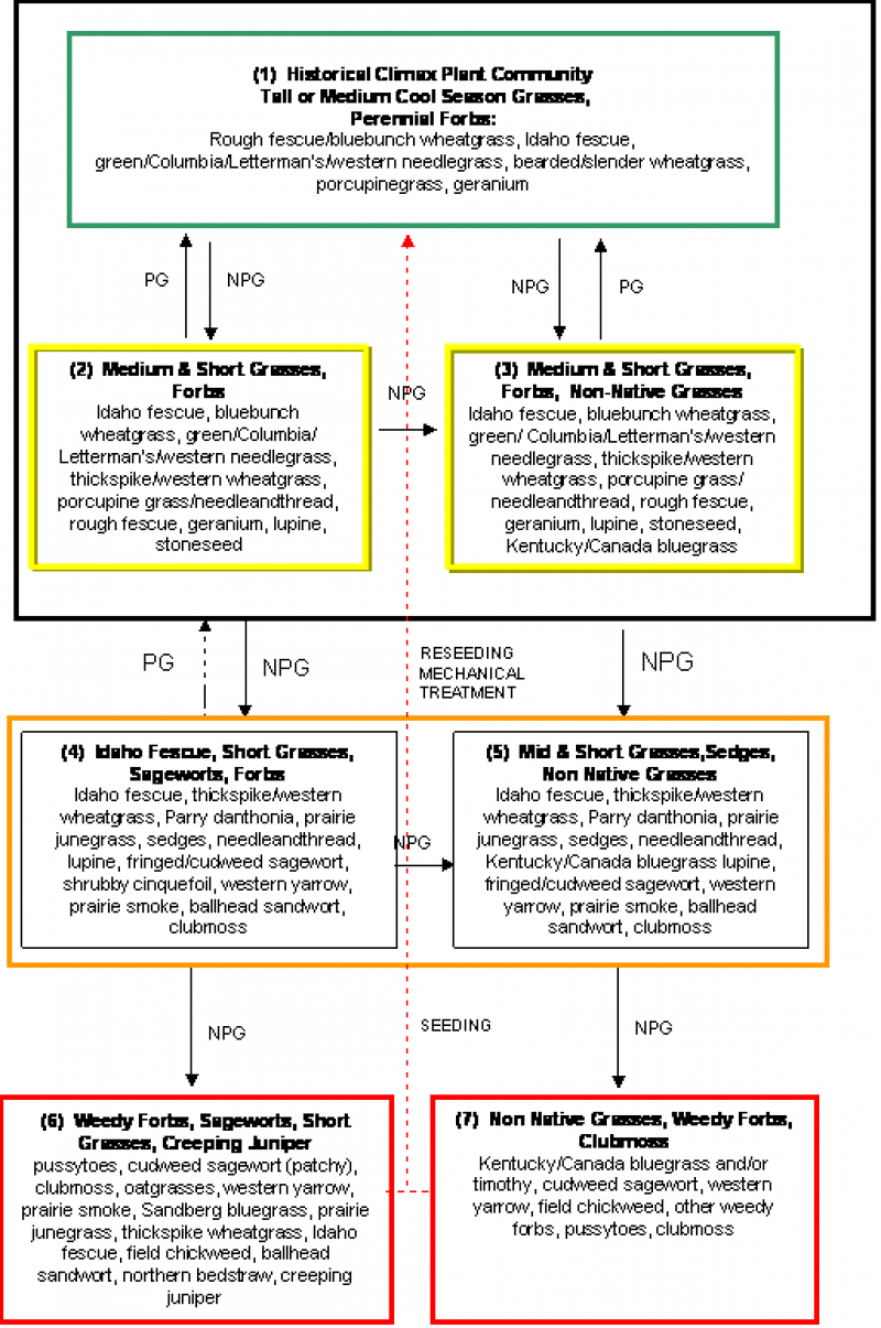 Model diagram