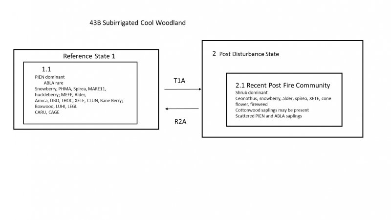 Model diagram