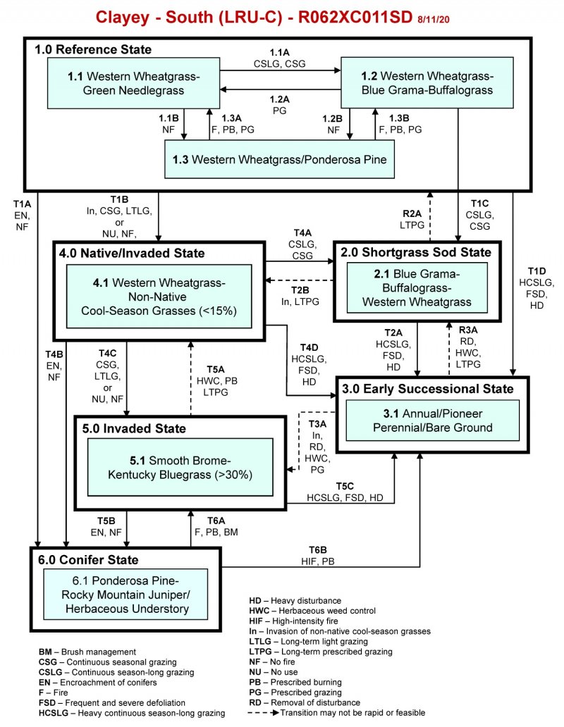 Model diagram