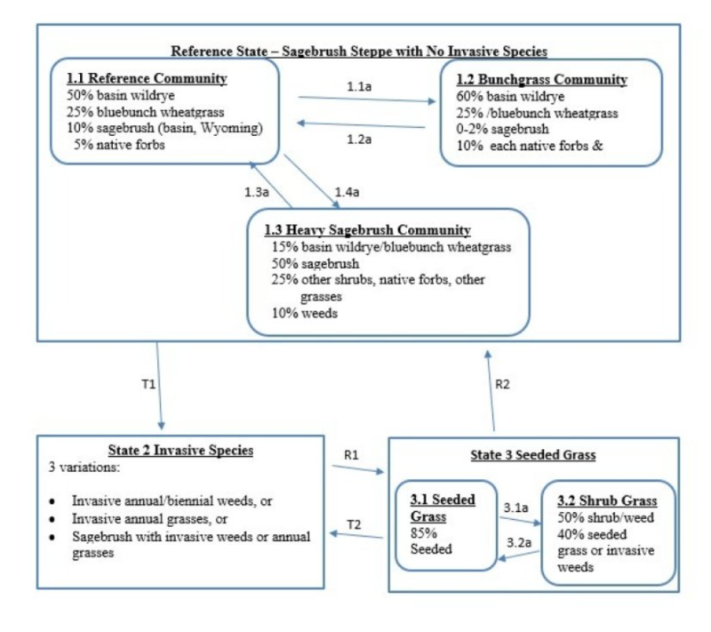 Model diagram