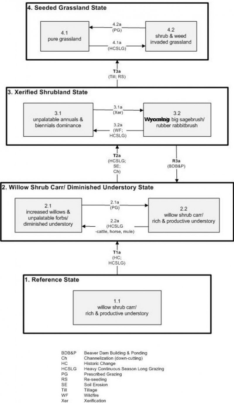 Model diagram