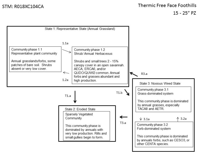 Model diagram