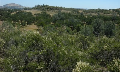 Box image