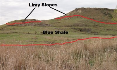 Box image