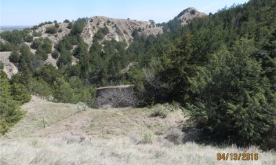 Box image