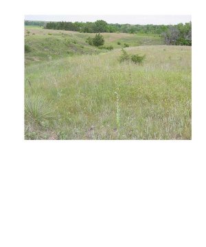 Box image