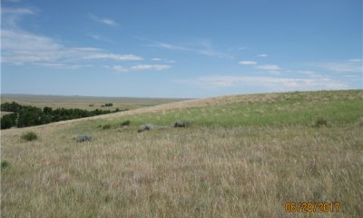 Box image