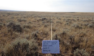Box image