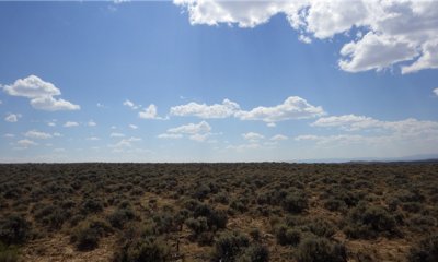 Box image