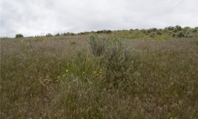 Box image