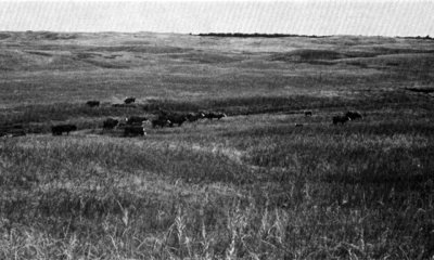 Box image