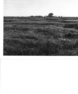 Box image