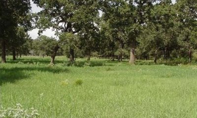 Box image
