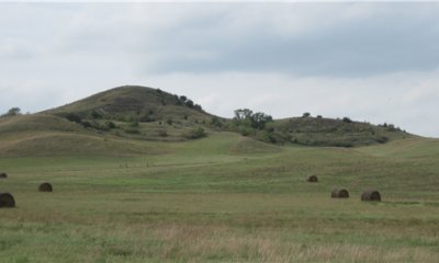 Box image