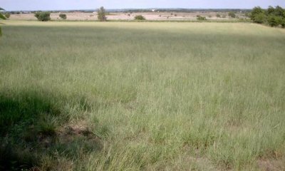 Box image